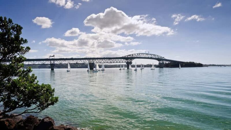 Auckland Scenic Half-Day City Sightseeing Tour - Who Will Love This Tour?