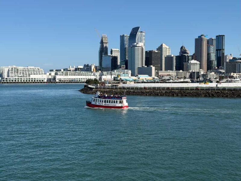 Auckland: Scenic Wine and Cheese Harbour Cruise - Introduction