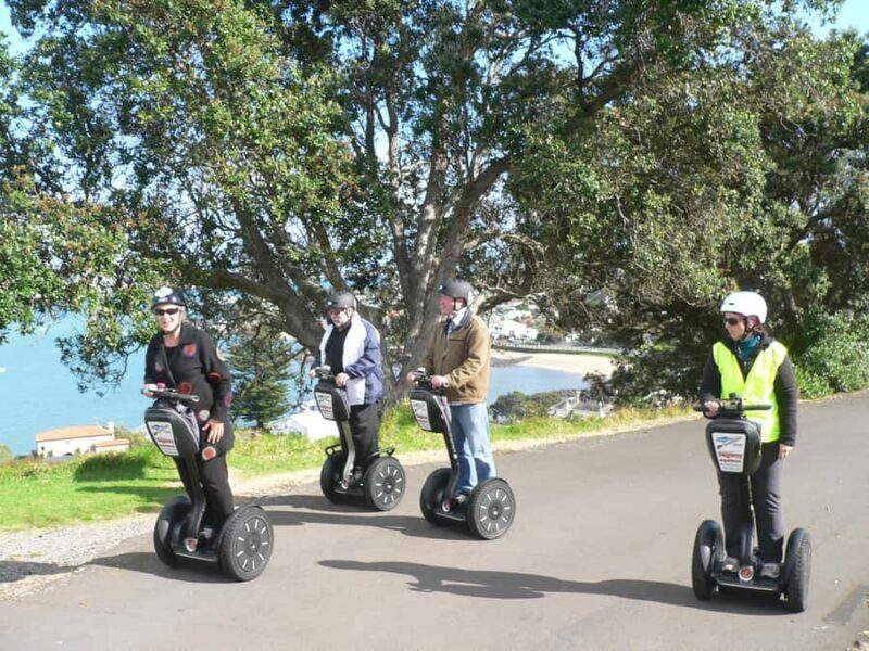 Auckland: Segway to North Head Volcano Summit - Analyzing the Value