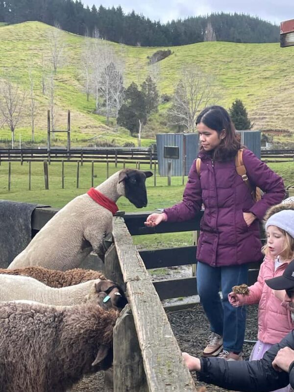 Auckland: Sheepworld, Honey Centre, & Kauri Trail Tour - Exploring Auckland’s Countryside: Sheepworld, Honey Centre, & Kauri Trail Tour