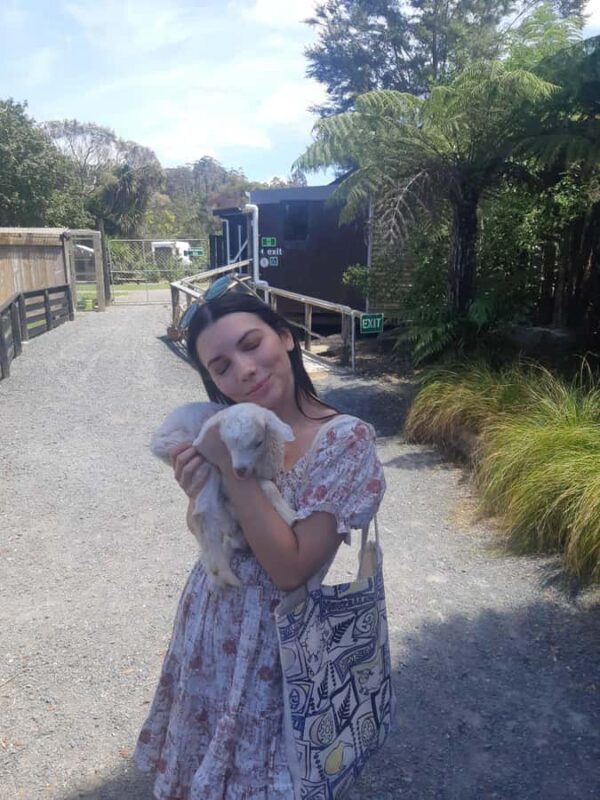 Auckland: Sheepworld, Honey Centre, & Kauri Trail Tour - Sheepworld: Sheep, Sheepdogs, and Sheepish Fun