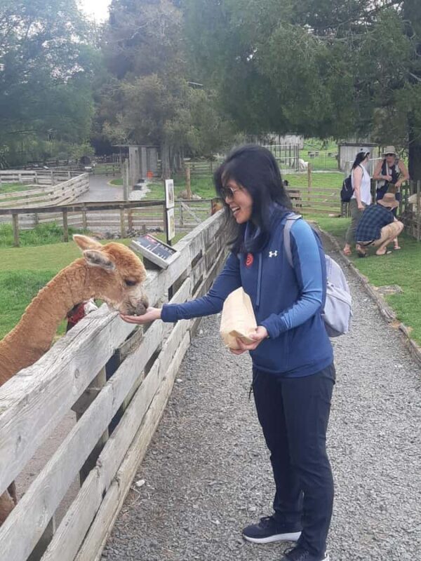 Auckland: Sheepworld, Honey Centre, & Kauri Trail Tour - FAQ