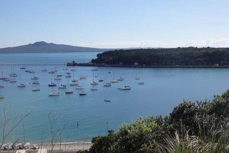 Auckland: Ship to Shore Full-Day Excursion - Who Should Consider This Tour