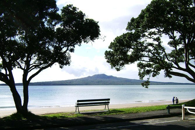 Auckland Shore Excursion: Half-Day Guided City Tour - Authentic Experiences and Highlights