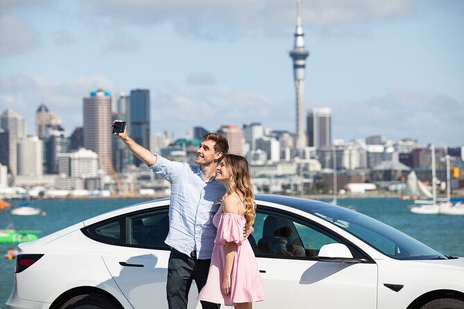 Auckland Shore Excursion: Half-Day Guided City Tour - The Value of a Short Tour