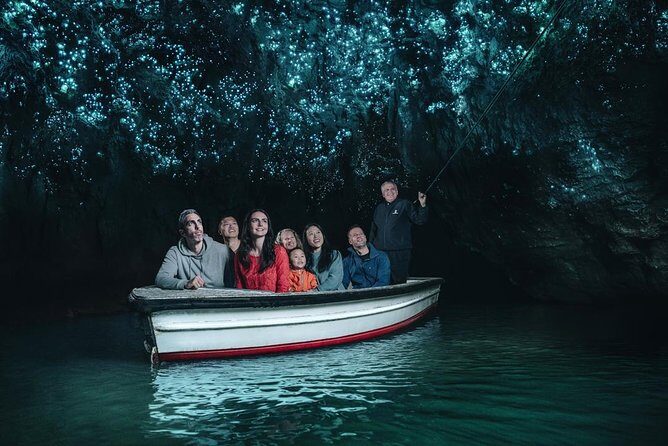 Auckland Sights Exclusive 4 Hour Luxury Day Tour - Who Should Consider This Tour?