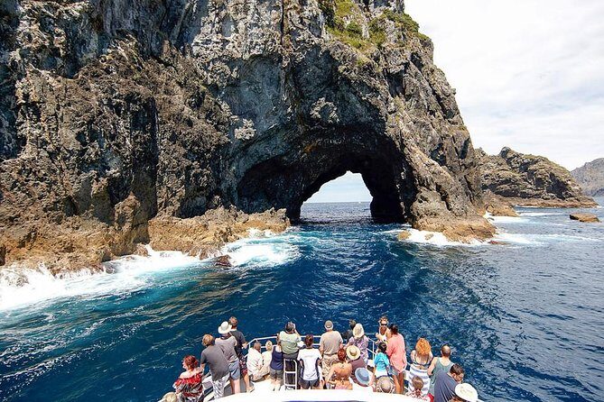 Auckland Sights Exclusive 4 Hour Luxury Day Tour - The Sum Up