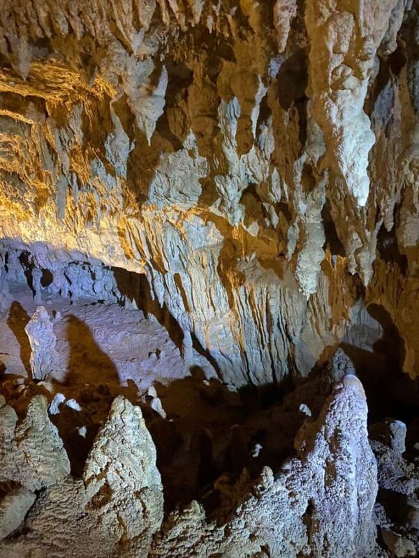 Auckland: Spellbound Glowworm Caves Explorer Tour - The Experience in Detail