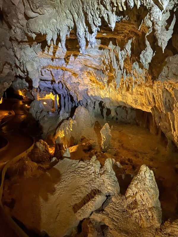 Auckland: Spellbound Glowworm Caves Explorer Tour - FAQ