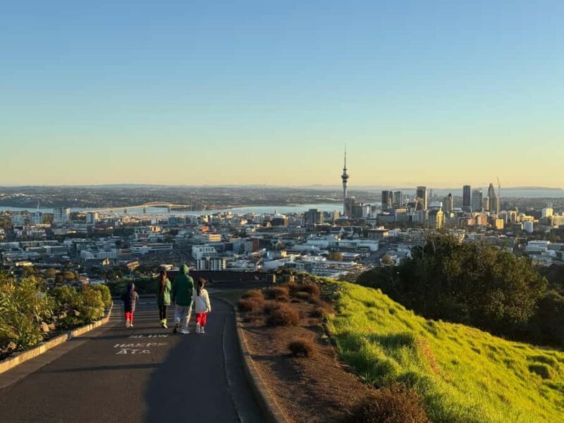 Auckland Sunrise Tour: Mount Eden Summit & Morning Views - Who Will Love This Tour?