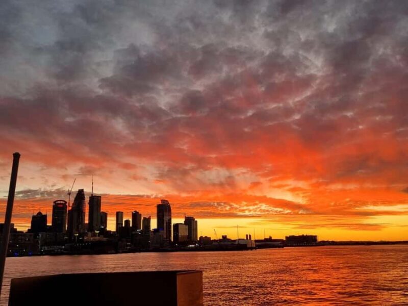 Auckland Sunset Harbour Cruise - The Onboard Experience: Atmosphere and Amenities