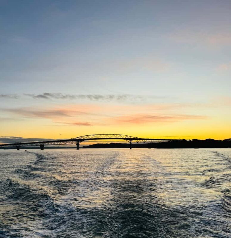 Auckland Sunset Harbour Cruise - The Sum Up