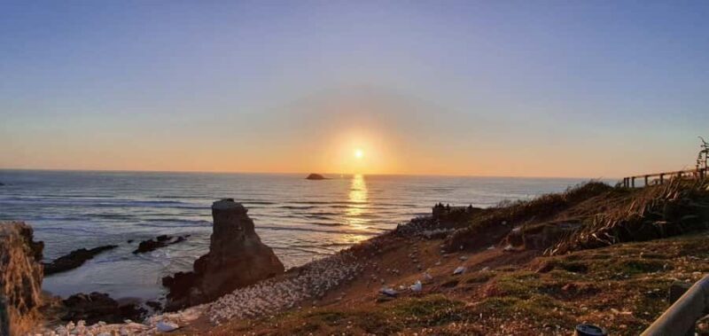 Auckland: Sunset Tour with Thermal pool & Wine Tasting - Key Points