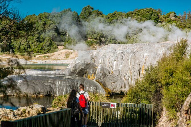 Auckland: Te Puia Rotorua & Waitomo Caves Small Group with Lunch - From Waitomo to Rotorua: Scenic Drive & City Highlights