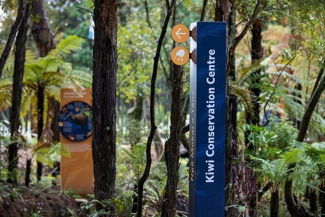 Auckland: Te Puia Rotorua & Waitomo Caves Small Group with Lunch - Who Will Love This Experience?