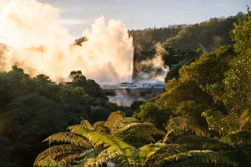 Auckland: Te Puia & Wai Ariki Hot Springs Tour - The Wellness Experience: Wai Ariki Hot Springs & Spa