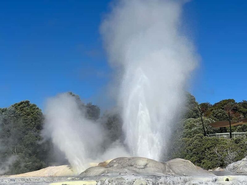 Auckland: Te Puia & Wai Ariki Hot Springs Tour - The Return Journey: Reflecting on Your Day