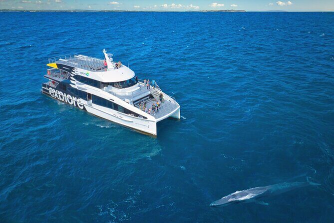 Auckland: Tikapa Moana Dolphin, Whale and Island Cruise - Who Is This Tour Best For?