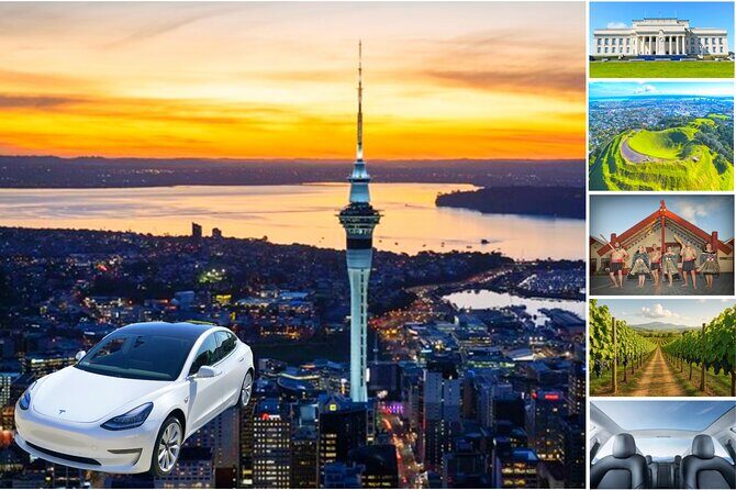 Auckland: Tikapa Moana Dolphin, Whale and Island Cruise - FAQ