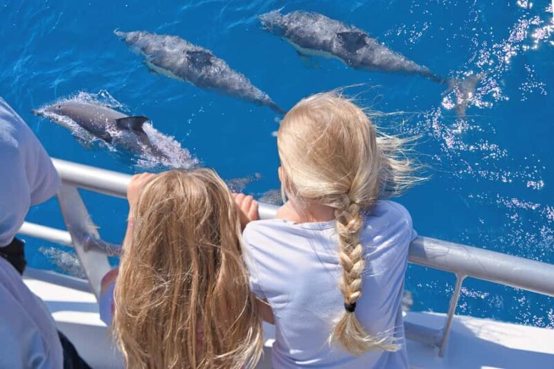 Auckland: Tikapa Moana Whales, Dolphins and Islands Cruise - An In-Depth Look at the Itinerary and Experience