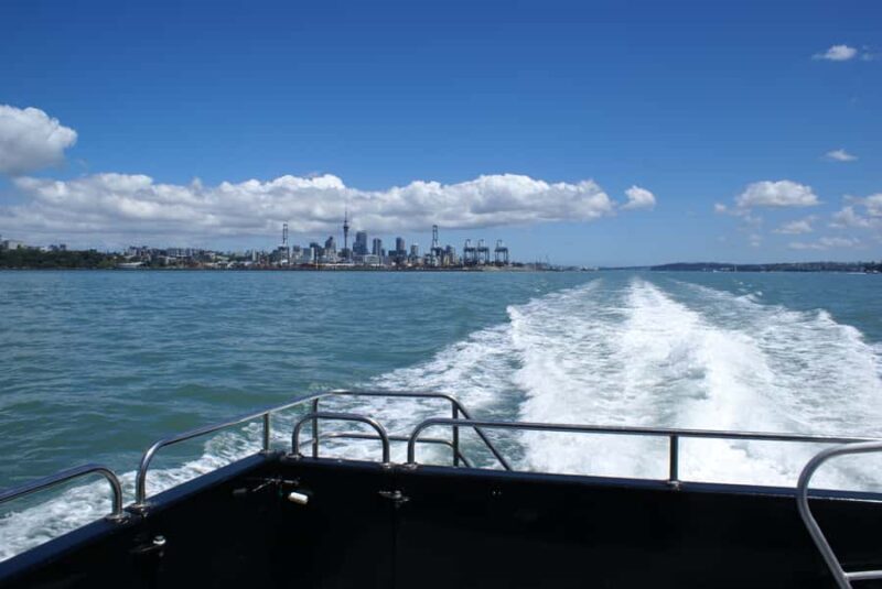 Auckland: Tikapa Moana Whales, Dolphins and Islands Cruise - What We Learned from the Reviews