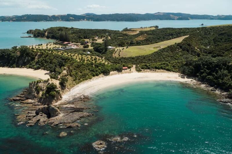 Auckland: Tikapa Moana Whales, Dolphins and Islands Cruise - The Sum Up