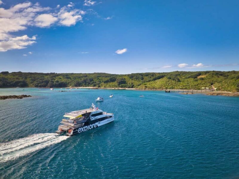Auckland: Tiritiri Matangi Island Ferry - A Deep Dive into the Experience