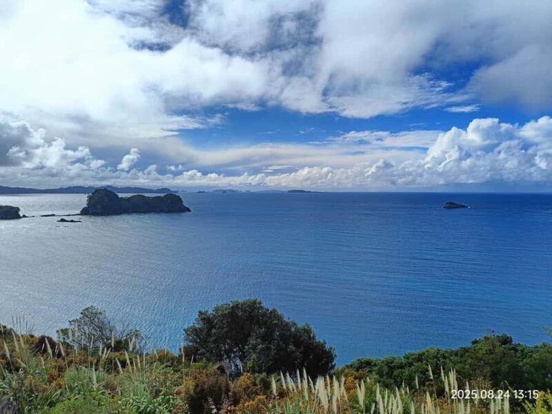 Auckland to Coromandel: Private Coastal Escape - Final Thoughts