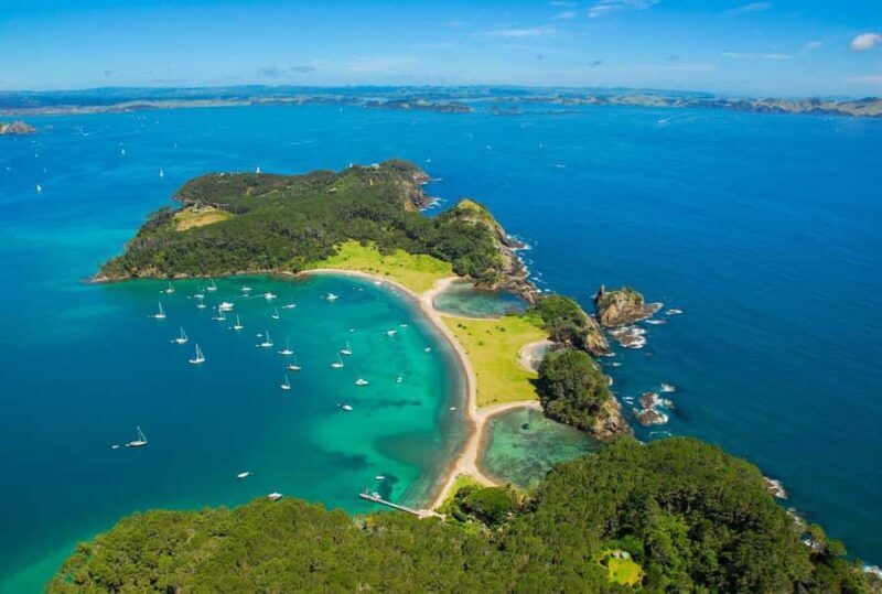 Auckland to Paihia via West Coast Small Group Tour (One Way) - Key Points