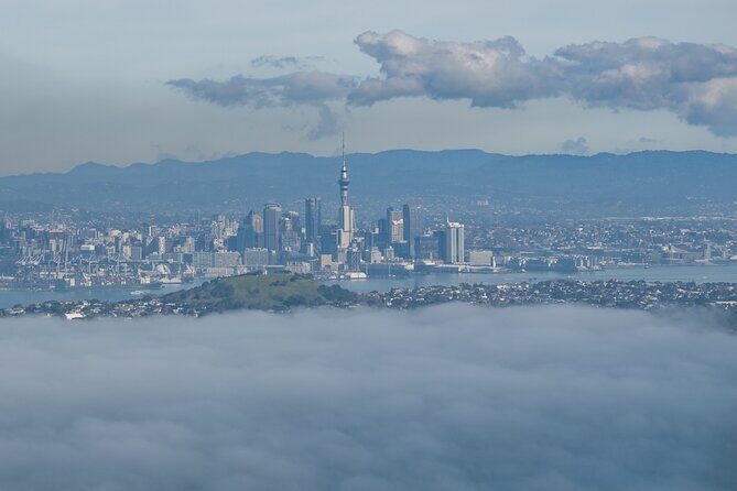 Auckland to Rangitoto Island Ferry - The Itinerary in Detail