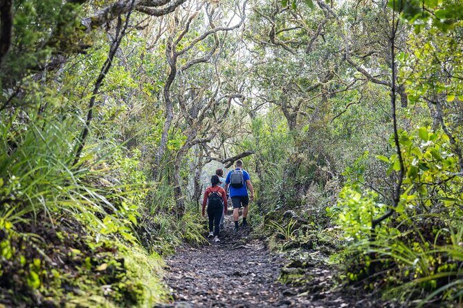 Auckland to Rangitoto Island Ferry - Cost and Value