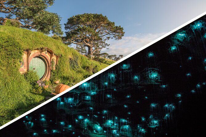 Auckland to Rotorua, Hobbiton and Waitomo 1 Way Small Group Tour - Introduction