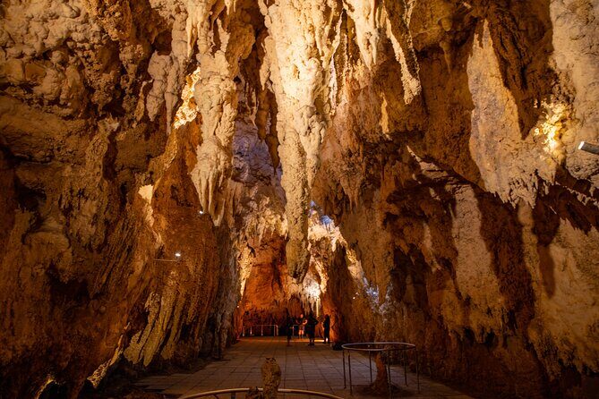 Auckland to Rotorua, Hobbiton and Waitomo 1 Way Small Group Tour - Genuine Traveler Insights