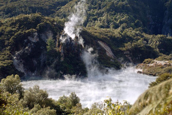Auckland to Rotorua Private Tour - An In-Depth Look at the Auckland to Rotorua Private Tour