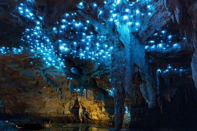 Auckland to Waitomo Caves and Hobbiton Movie Set Private Tour - The Details That Matter