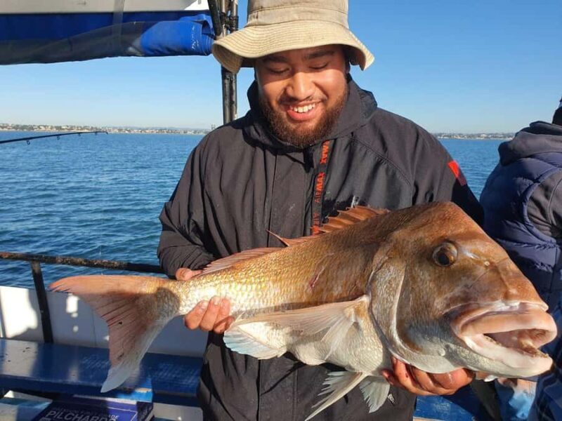 Auckland: Twilight Fishing Charter 5pm - 9:30pm - Why This Tour Offers Good Value