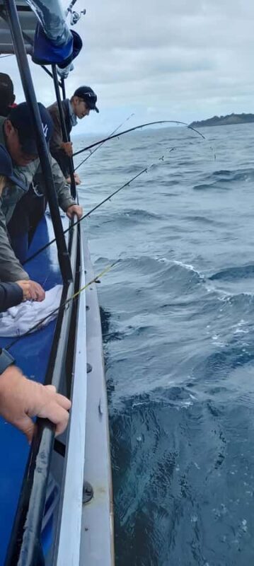 Auckland: Twilight Fishing Charter 5pm - 9:30pm - Summary: Who Is This Tour Best For?