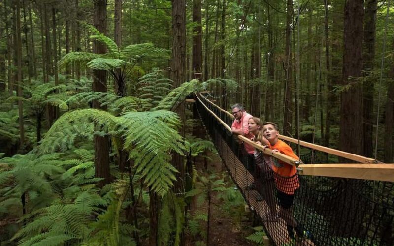 Auckland: Wai Ariki Hot Springs & Rotorua Redwoods Tour - FAQ