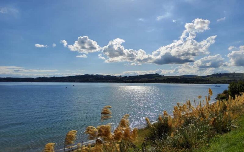 Auckland: Wai-O-Tapu and Lake Taupo Private Day Tour - Honey Tasting and Local Flavors