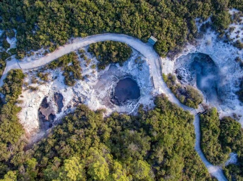 Auckland: Wai-O-Tapu & Wai Ariki Hot Springs Day Tour - Key Points