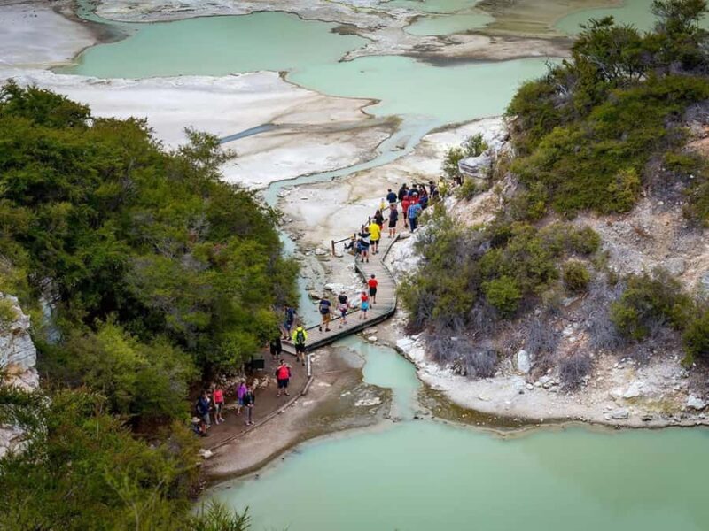 Auckland: Wai-O-Tapu & Wai Ariki Hot Springs Day Tour - An In-Depth Look at the Tour