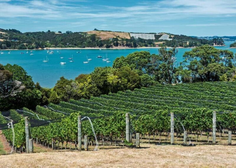 Auckland: Waiheke Island Luxury Experience Private Tour - Who Will Love This Tour?