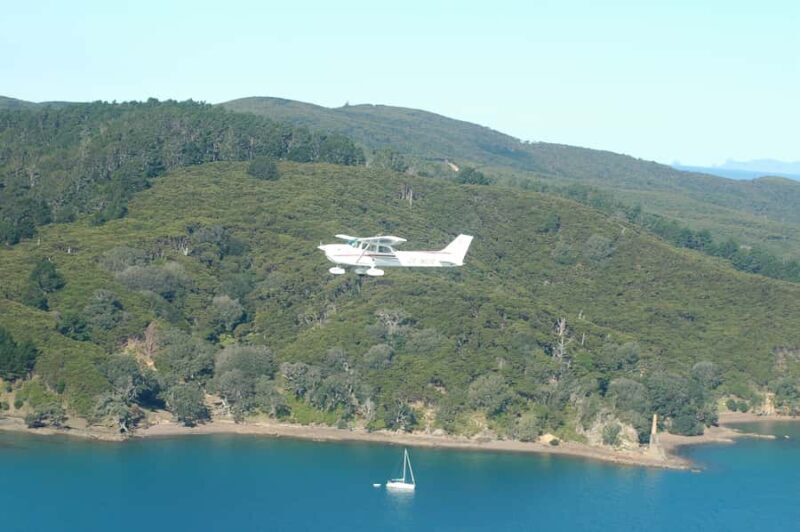 Auckland: Waiheke Island Wine and Food Tasting with Flights - An In-Depth Exploration of the Tour