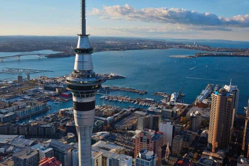 Auckland: Waiheke Island Wine and Food Tasting with Flights - Who Will Love This Tour?