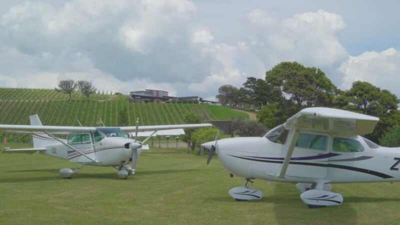 Auckland: Waiheke Island Wine and Food Tasting with Flights - Final Thoughts