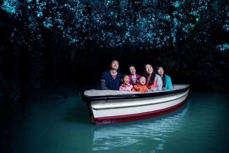 Auckland: Waitomo Caves & Rotorua - Te Puia Small-Group Tour - Key Points