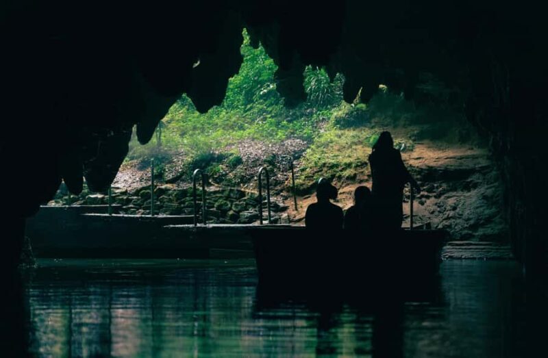 Auckland: Waitomo Caves & Te Puia Rotorua w Picnic Lunch - How Does This Tour Offer Value?