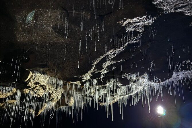 Auckland : Waitomo Spellbound Glow Worm Twin Caves Private Tour - Key Points