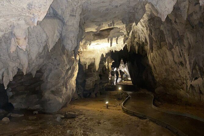 Auckland : Waitomo Spellbound Glow Worm Twin Caves Private Tour - What Makes This Tour Stand Out?