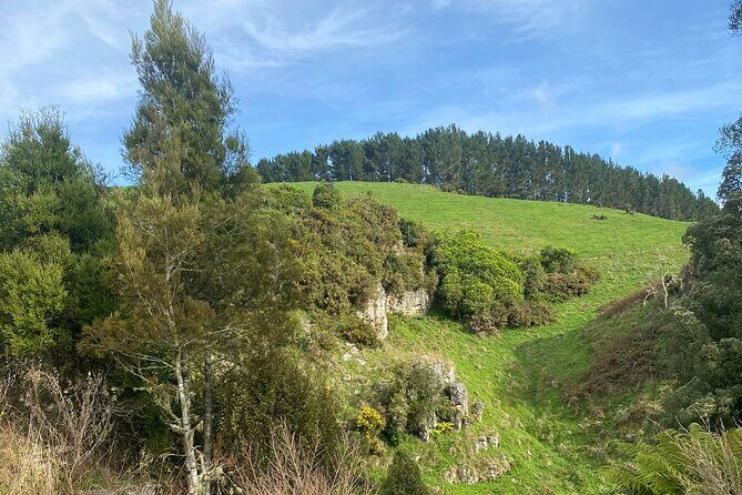 Auckland : Waitomo Spellbound Glow Worm Twin Caves Private Tour - Final Thoughts